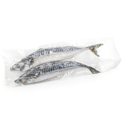 Black_Tie_Mackerel_296785_02