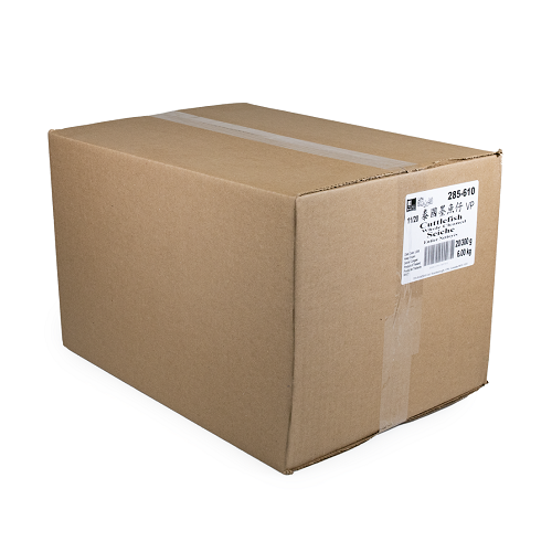 Cuttlefish_whole_cleaned_02